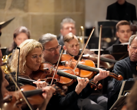 DSC07433 bearbeitet 1-1